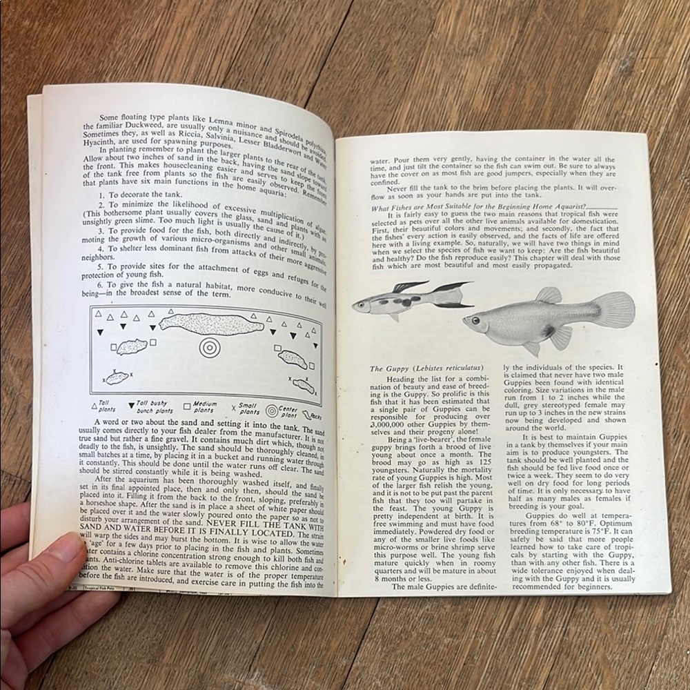 Tropical Fish Guide by Herbert R. Axelrod - Picture 7 of 11
